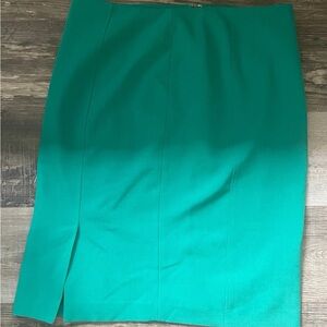 Jones Studio Seperates Green Pencil Skirt Size 10